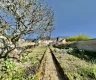 property_image_6840c46a8dfcf8.11255939.webp