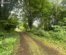 property_image_685e6e5c0176a0.26555970.webp