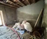 property_image_687ebaea944d43.33635450.webp