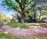 property_image_687ebb596ca429.16812192.webp