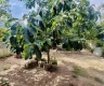 property_image_68f4109905a0b3.27873458.webp