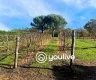 property_image_69127135c27059.90595270.webp