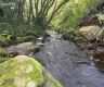property_image_6938acbfd9b902.60531223.webp
