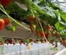 property_image_69ac07bad7ac07.35484567.webp
