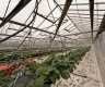 property_image_69ac07beb46235.74332499.webp