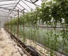 property_image_69ac07c7b3e5d3.46366709.webp