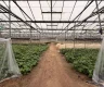 property_image_69ac07ca18ae40.29169082.webp