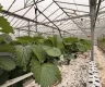 property_image_69ac07cc763166.51200157.webp