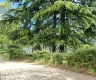 property_image_69b499dd5c0f31.21269238.webp