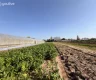 property_image_69c1c8f99c20a1.37940635.webp