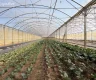 property_image_69c1c8fc0669d8.08062316.webp