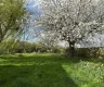 property_image_69c70ee7eaa185.77577176.webp