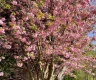 property_image_69cd9c4dc84881.97239588.webp