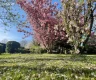property_image_69cd9c538cc131.32471569.webp