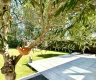 property_image_69d97a1f98fe93.92752337.webp