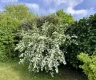 property_image_69dec0a1b9daa6.51923444.webp