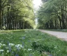 property_image_6a0107cb9bd6c1.39276752.webp