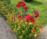 property_image_6a1031a84810c6.51033377.webp