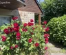 property_image_6a10d9ff0f8224.80218518.webp