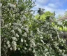 property_image_6a1f5aac5d45e0.33016242.webp