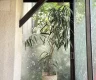 property_image_6a1f5ab30ecb58.97272630.webp