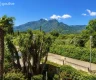 property_image_6a27ed44c2bde8.99998497.webp
