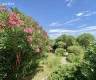 property_image_6a39b8f7a62169.85564893.webp