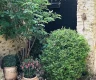 property_image_6a459698dd12a0.72198681.webp