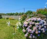 property_image_6a58b42bb9c848.45396214.webp