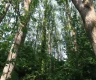 property_image_6a5aae62d2d0f8.31972593.webp
