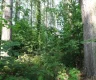 property_image_6a5aae745d8e24.00688655.webp