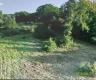 property_image_6a7119c1eaf849.41358039.webp