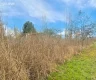 property_image_6a712c66290ea6.74683519.webp