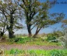 property_image_6a7132f9b07ce5.82260733.webp