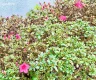 property_image_6a7137184b52d1.89979967.webp