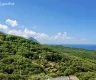 property_image_6a726a44277902.27815504.webp