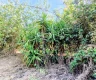 property_image_6a77aecf6bdee3.07346237.webp