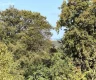 property_image_6aa5d34f739db2.02656231.webp