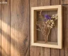 property_image_6aa8821ab53e90.55698612.webp