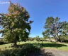 property_image_6aa882b1dc3166.97601304.webp