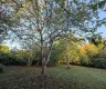 property_image_6ac2d3c08b5980.56583175.webp