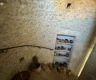 property_image_6ac37d18e2fa13.03659985.webp