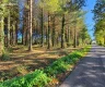 property_image_6ada8fce2b7354.88332588.webp