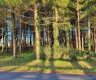 property_image_6ada8fd0e4c364.28894663.webp