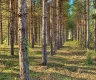 property_image_6ada8fd228a049.17484369.webp