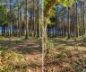 property_image_6ada8fd368b672.12021464.webp